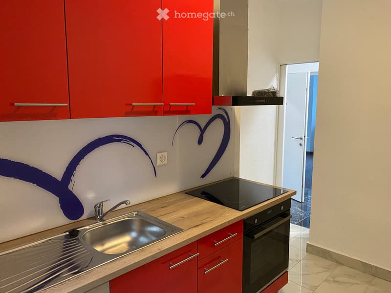 A LOUER APPARTEMENT DE 3.5 PIECES AVEC JARDIN (4)