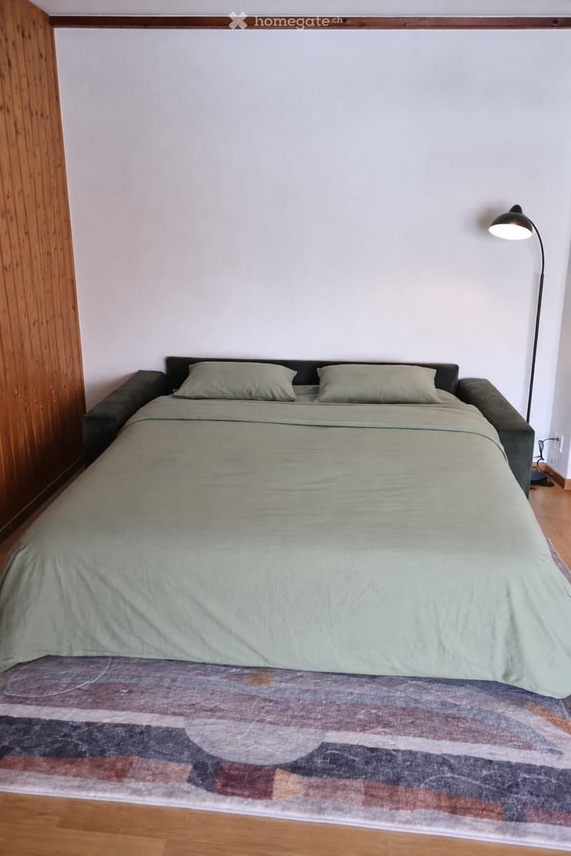 À louer Studio avec terrasse Villars-sur-Ollon VD (3)