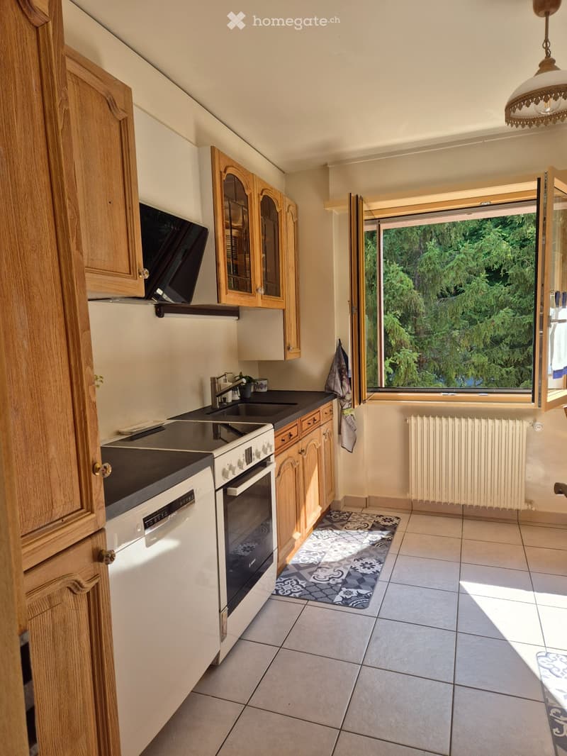 Appartement meublé (2)