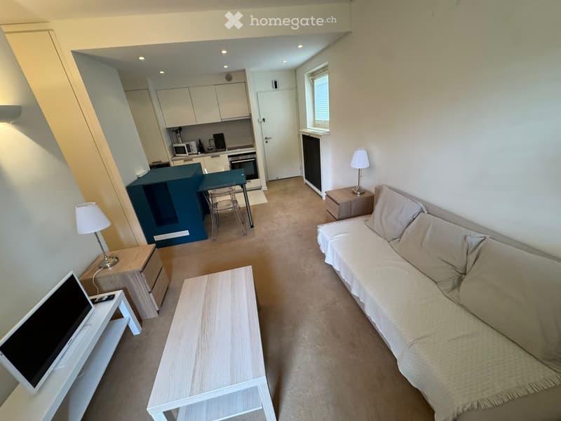 Bel appartement d'une pièce et demi entièrement meublé (1)