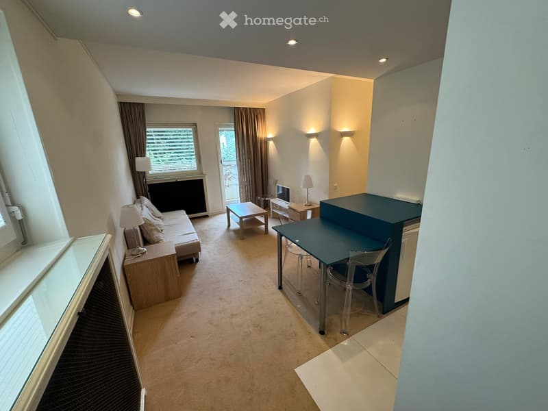 Bel appartement d'une pièce et demi entièrement meublé (2)