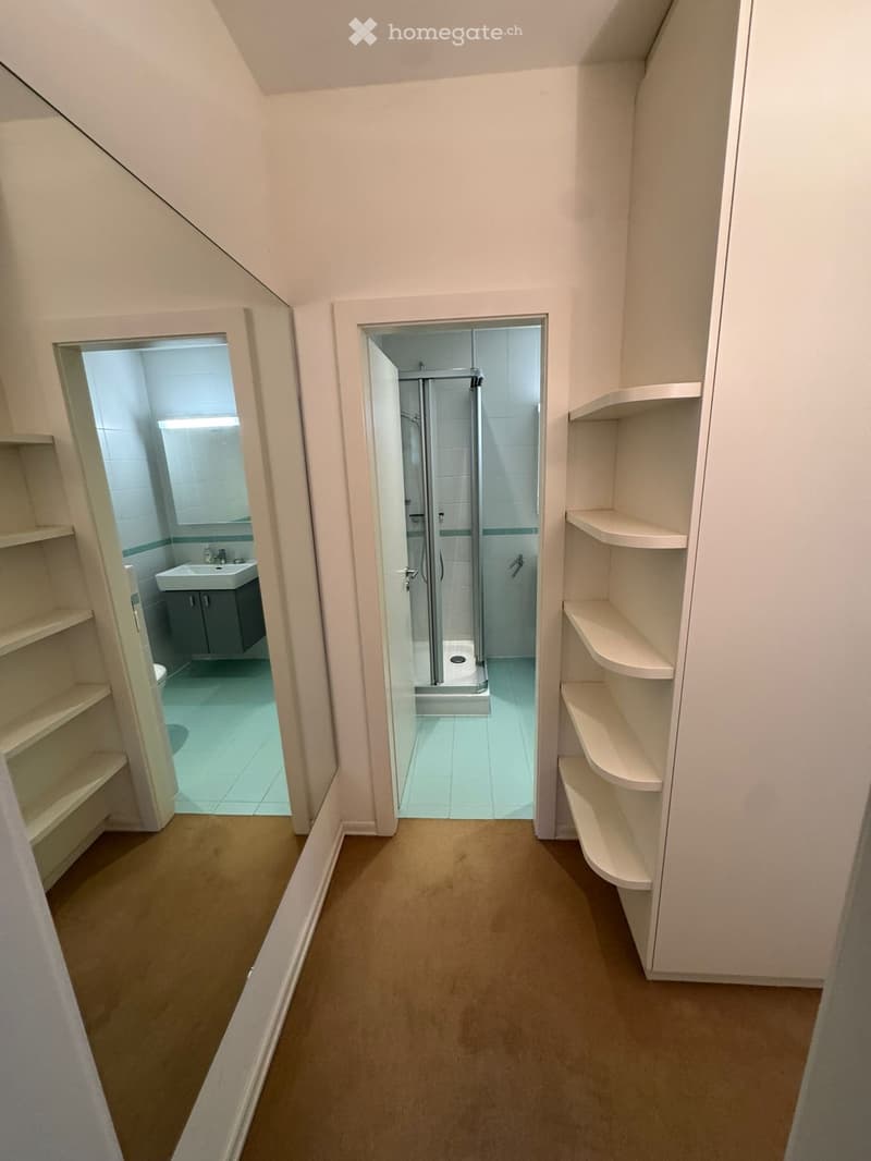 Bel appartement d'une pièce et demi entièrement meublé (3)