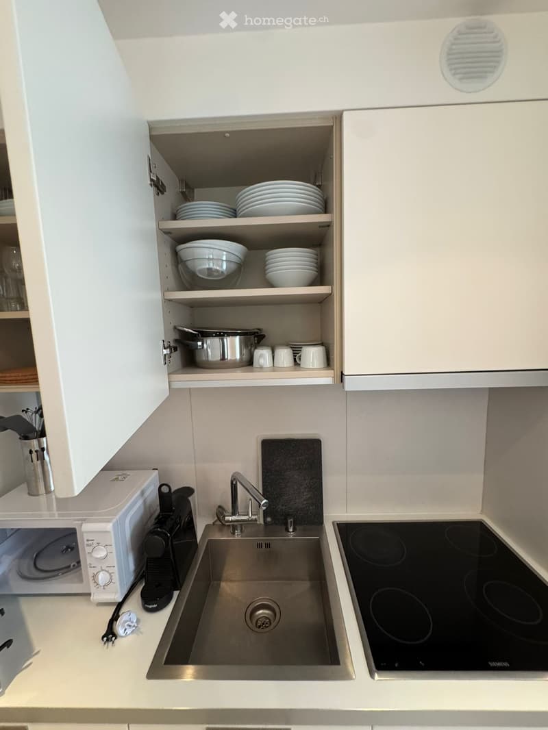 Bel appartement d'une pièce et demi entièrement meublé (5)