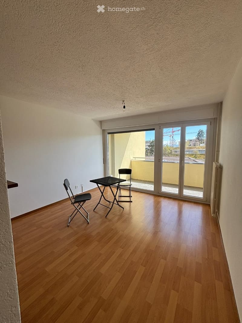 Lumineux 3 pièces avec balcon et vue dégagée + garage privé (2)