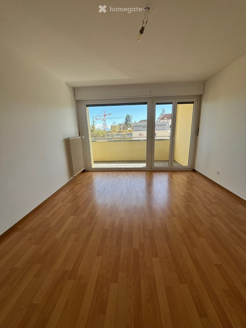 Lumineux 3 pièces avec balcon et vue dégagée + garage privé (3)