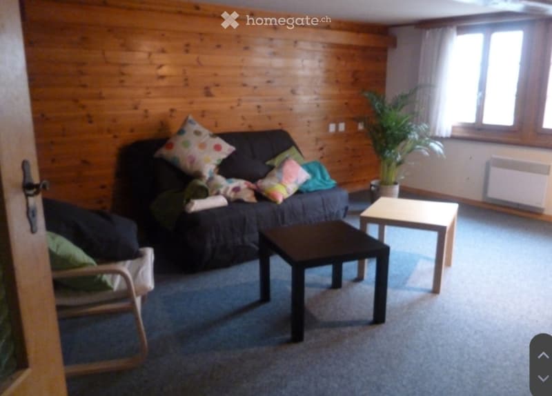 Appartement triplex meublé (2)
