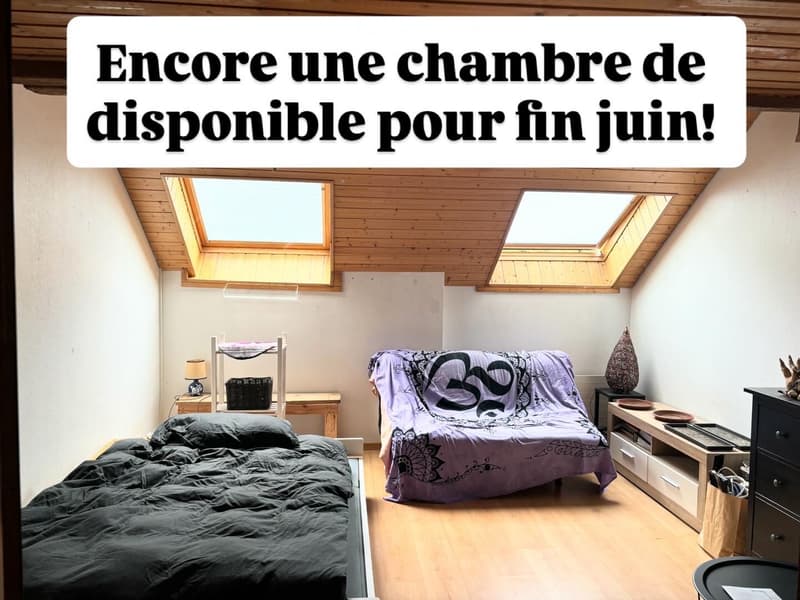 Urgent! Chambres en collocation à louer à St-Blaise (2)
