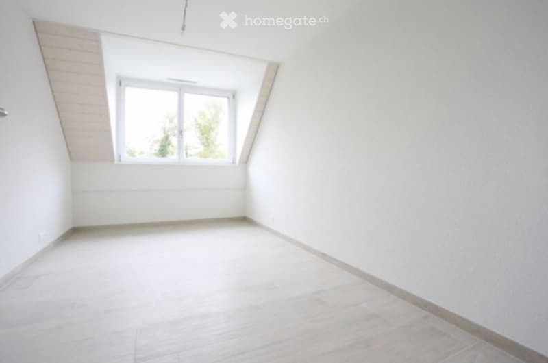 Magnifique duplex lumineux et spacieux (2)