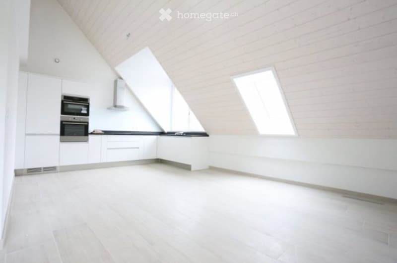 Magnifique duplex lumineux et spacieux (3)