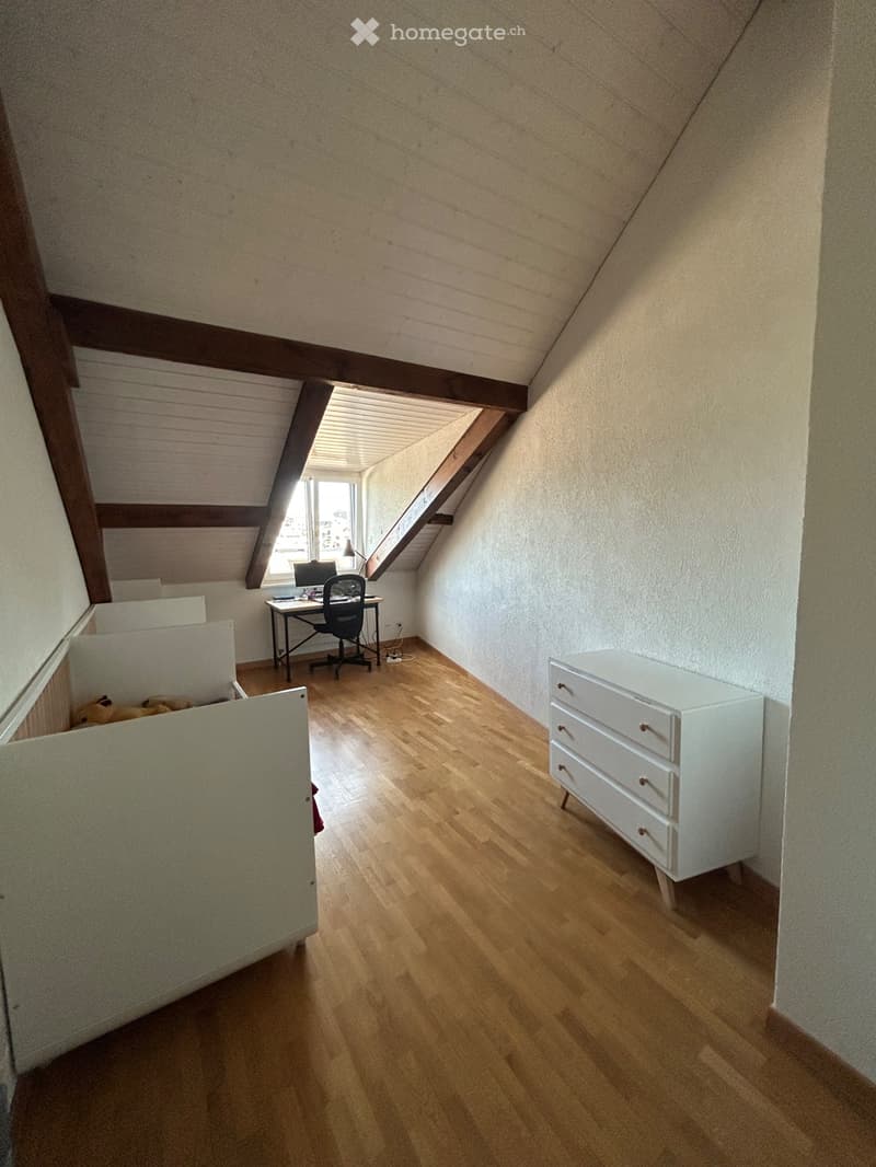 Lease takeover- apartment in plainpalais (3)