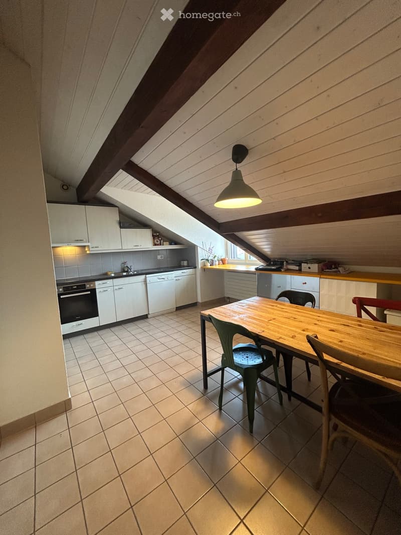 Lease takeover- apartment in plainpalais (4)