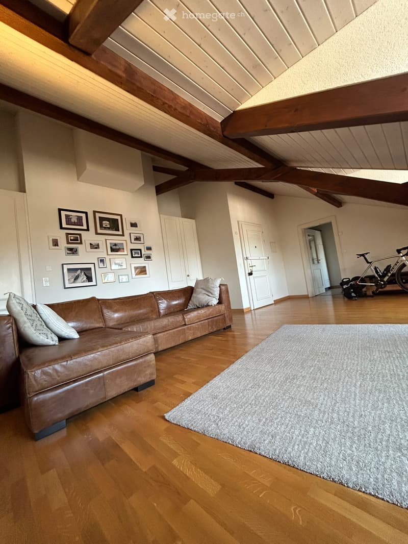 Lease takeover- apartment in plainpalais (1)