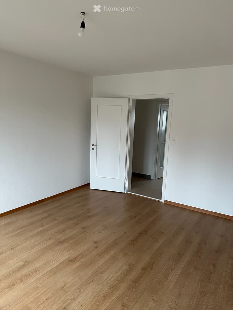 Gemütliche Zweizimmerwohnungen zu vermieten (1)