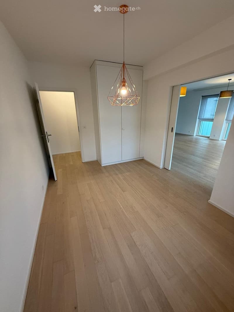 Reprise de bail, Carouge, rue Alexandre-Gavard 28 (1)