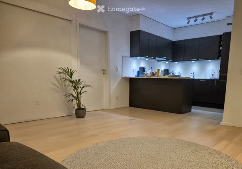 Reprise de bail, Carouge, rue Alexandre-Gavard 28 (5)