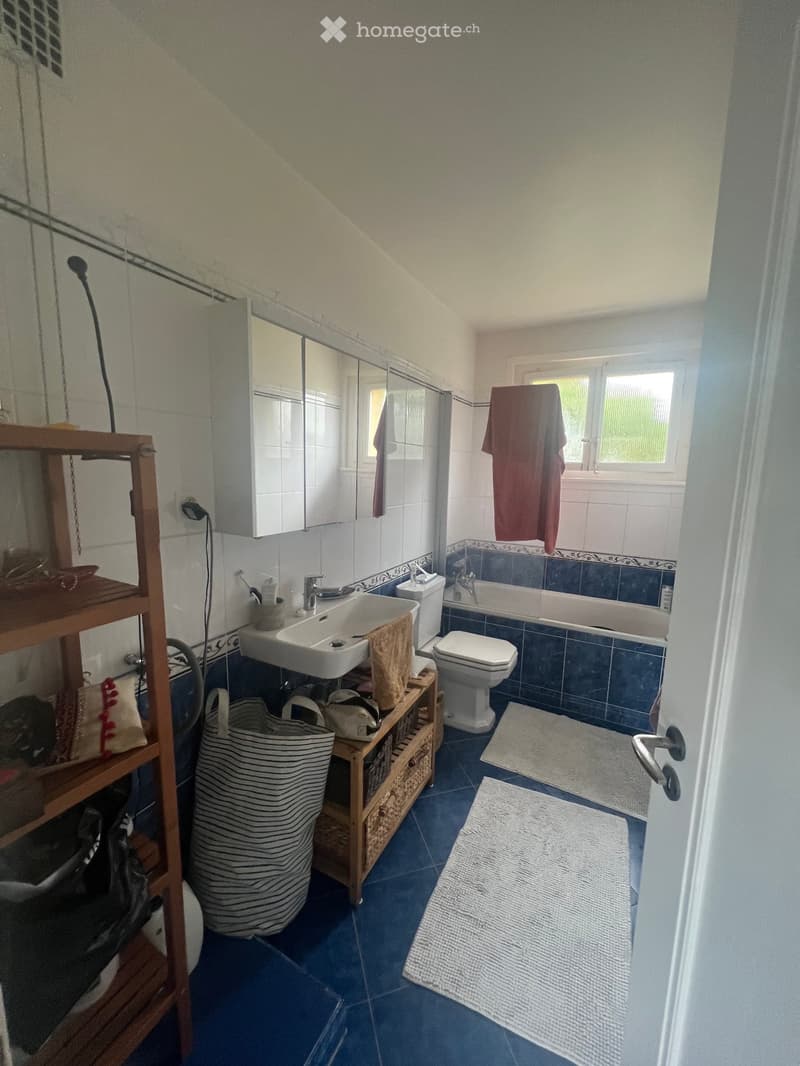 Appartement 3,5 pièce à sous-louer meublé et équipé (4)