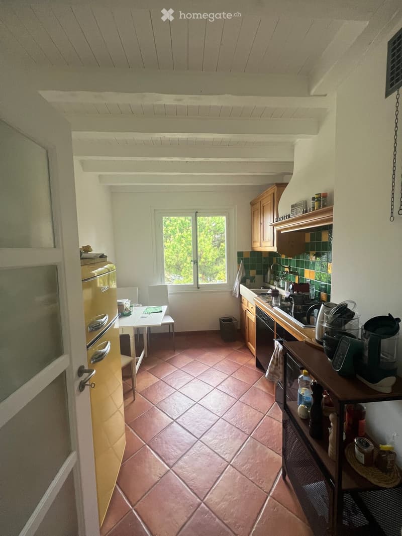 Appartement 3,5 pièce à sous-louer meublé et équipé (3)