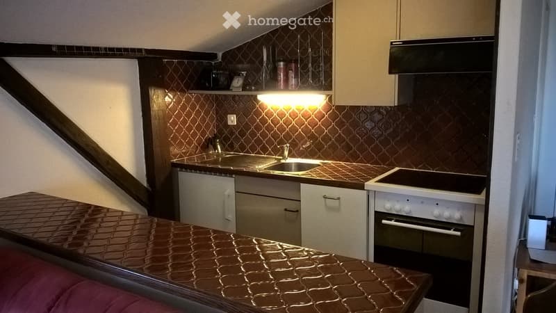 Grand appartement meublé de 2,5 pièces mansardé (2)