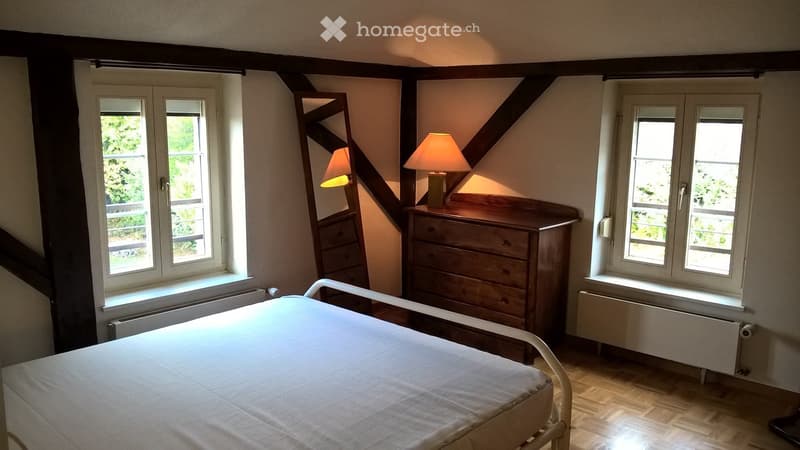 Grand appartement meublé de 2,5 pièces mansardé (3)