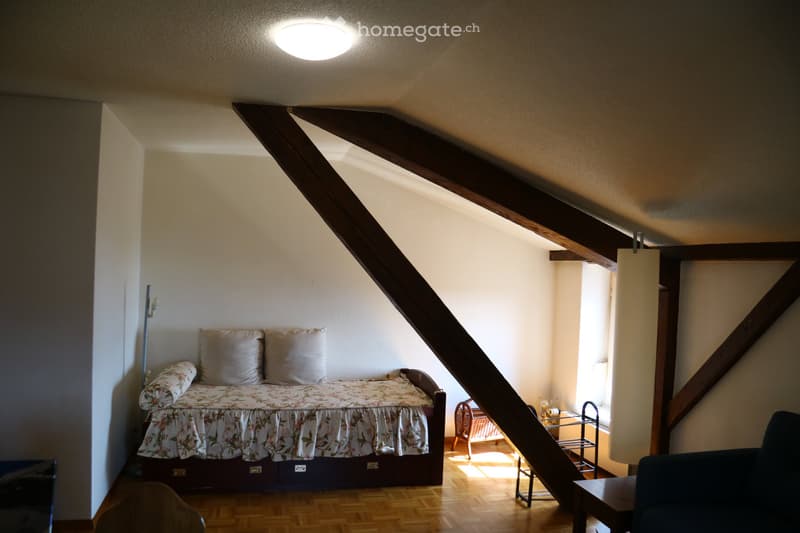 Grand appartement meublé de 2,5 pièces mansardé (4)