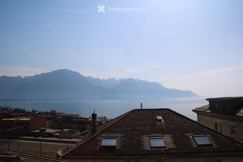 Grand appartement meublé de 2,5 pièces mansardé (5)