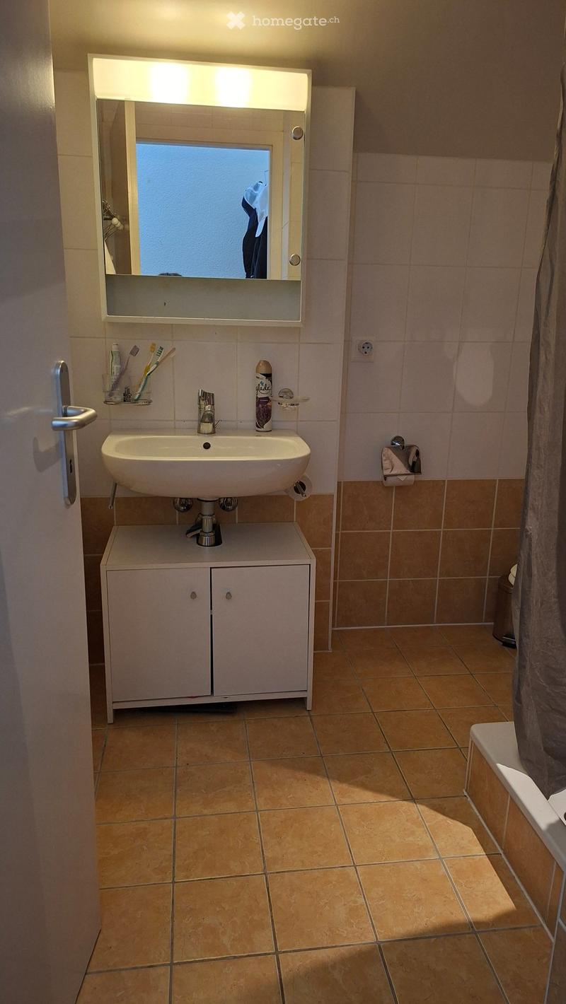 Jolie  appartement  a la tour de peilz (3)