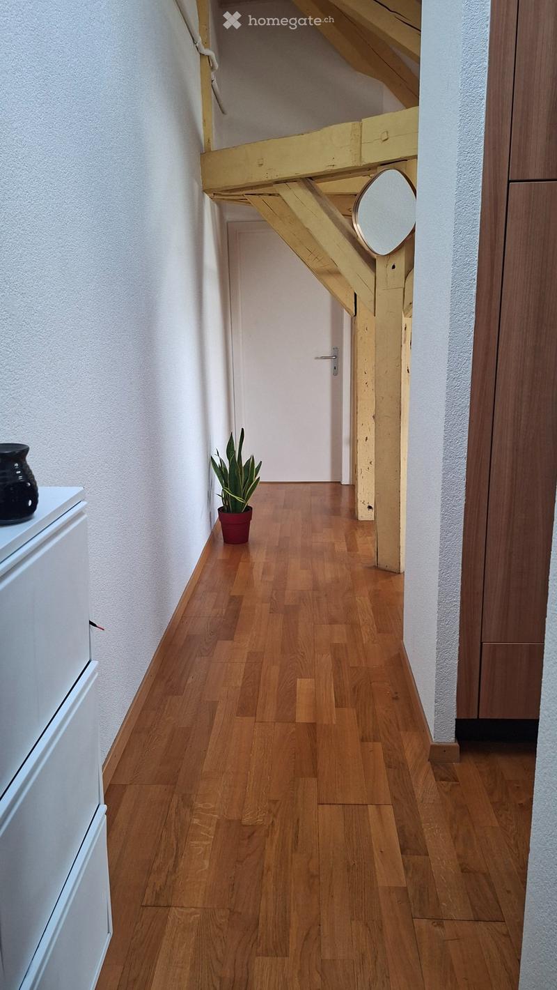 Jolie  appartement  a la tour de peilz (2)
