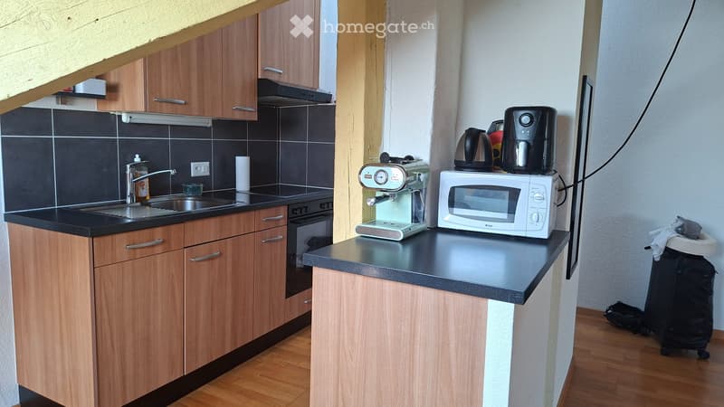 Jolie  appartement  a la tour de peilz (4)