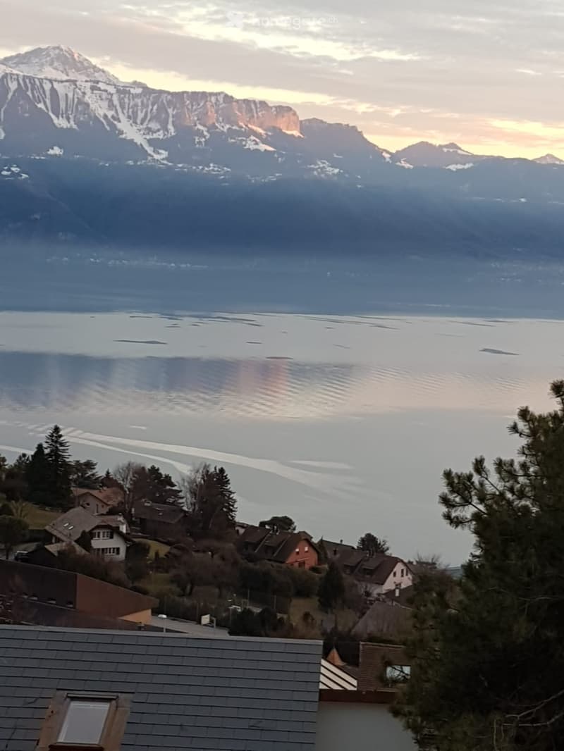OFF Market Belle Maison avec vue panoramique -Lavaux (1)