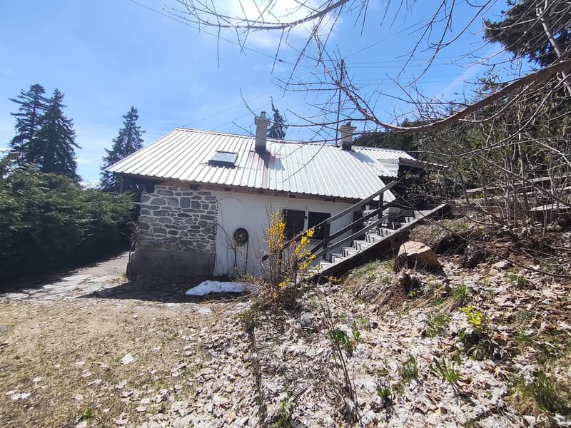 Charmant chalet à Plan Cernet Cadre naturel et calme absolu (5)