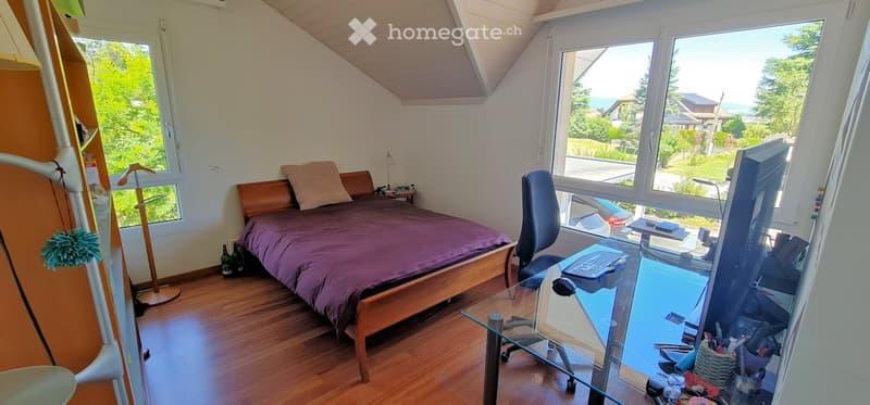 Furnished 240 m² family home  10 minutes from Geneva / Nyon (4)