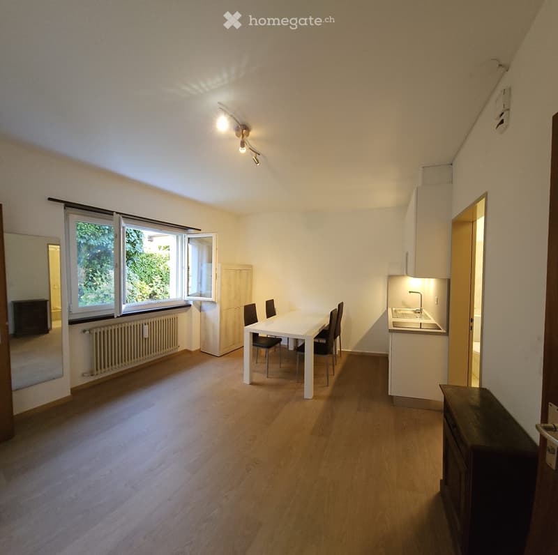Bilocale ammobiliato in bella zona residenziale (3)
