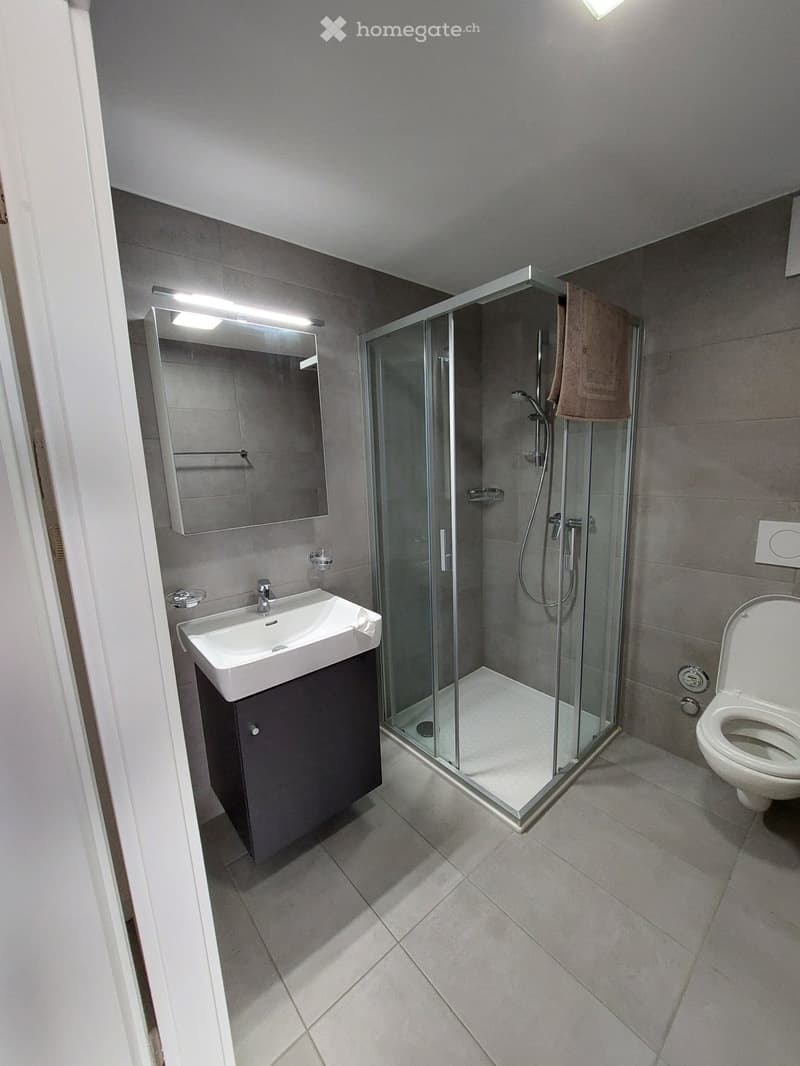 Studio meublé + parking intérieur (3)