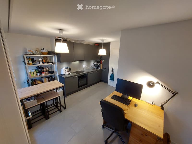 Studio meublé + parking intérieur (1)