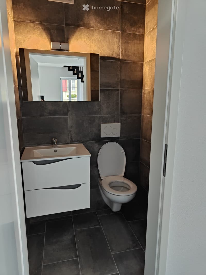 Appartement en triplex (3)