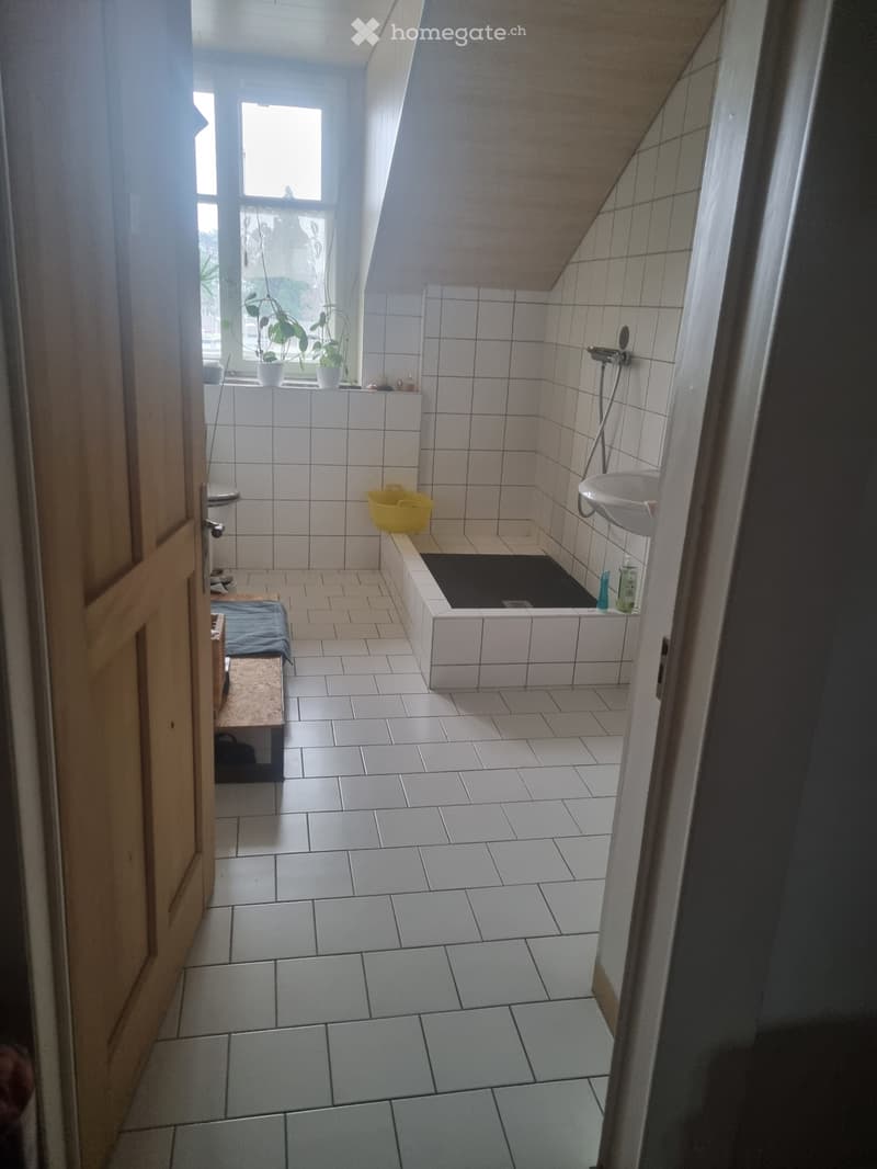 Location thérapeutique collectif (3)
