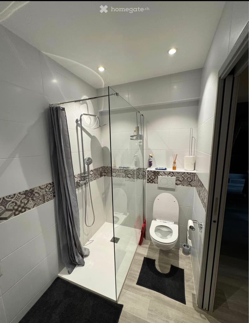 Appartement 2.5P (5)