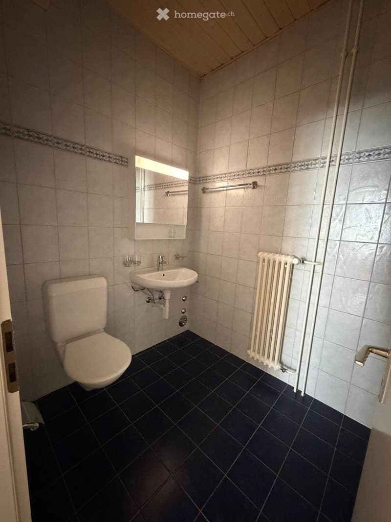 Sous-location d'un bel appartement - 1 mois offert (5)