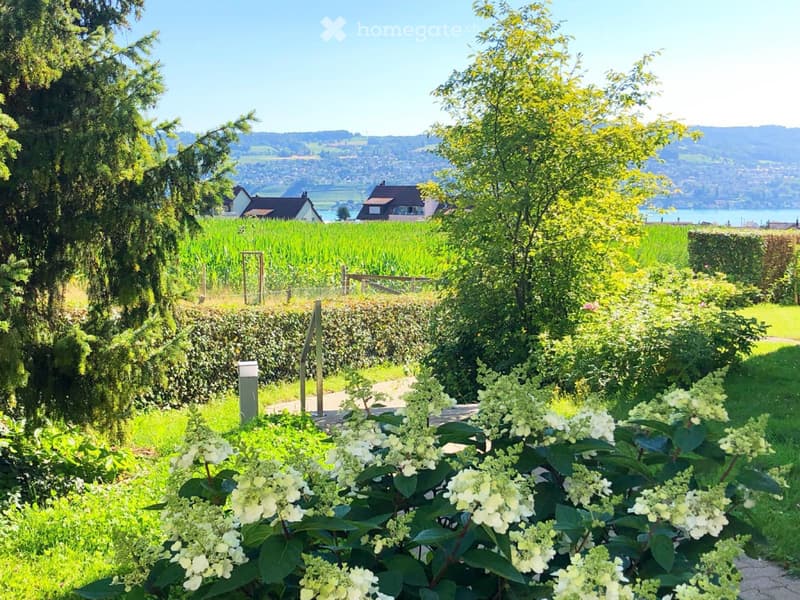 Beautiful Apartment by Zurich lake (2)
