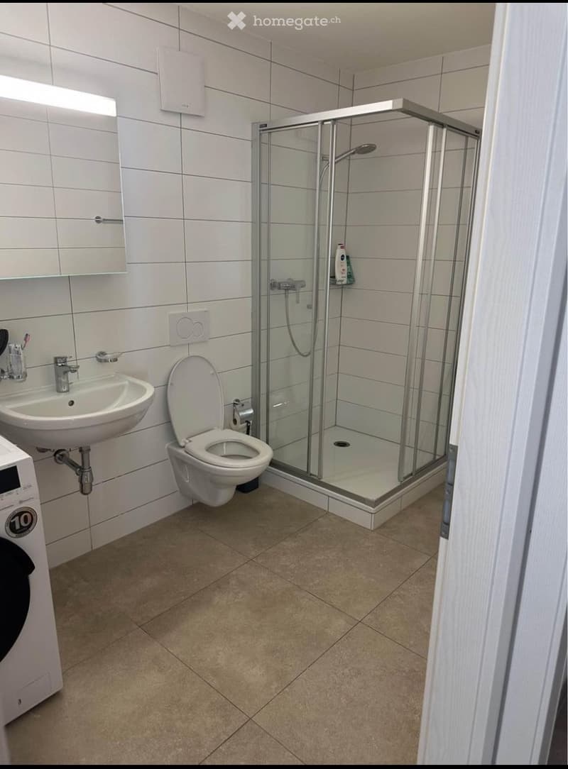 Magnifique Appartement 2,5 (5)