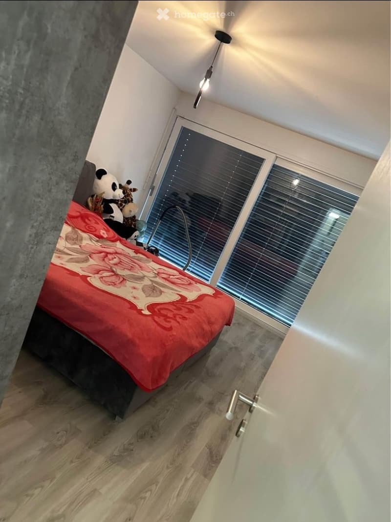 Magnifique Appartement 2,5 (4)