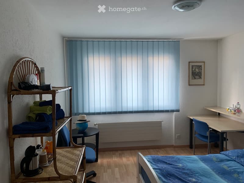 Helles, gemütliches Zimmer, separater Eingang und Parkplatz (1)