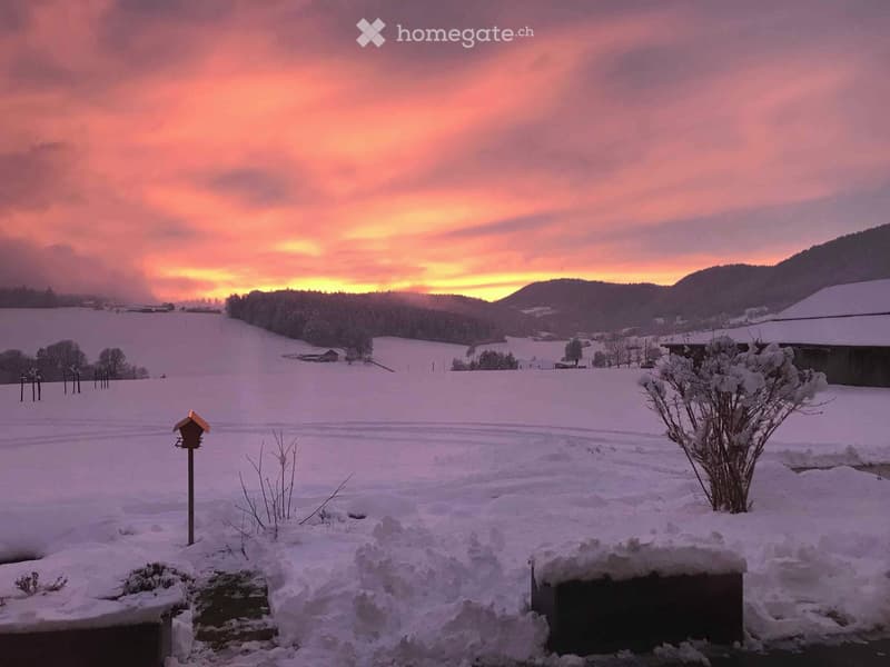 A vendre villa "d'architecte", minergie. (2)