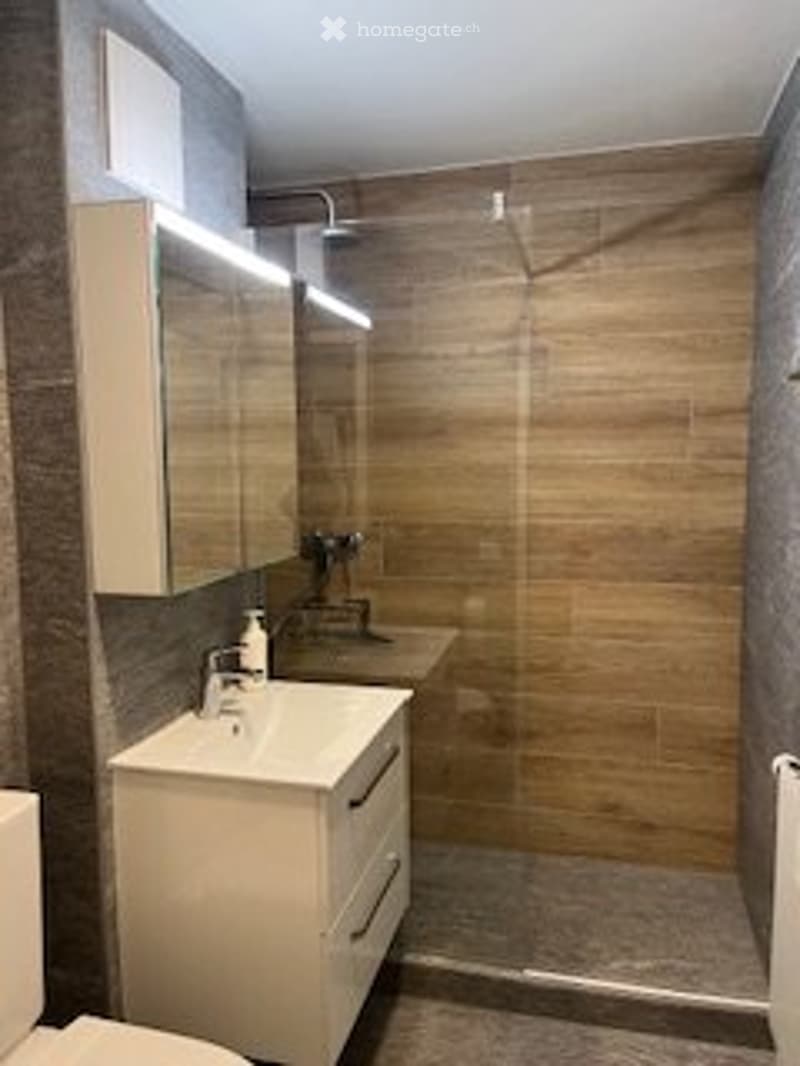 bel appartement meublé à la montagne (3)