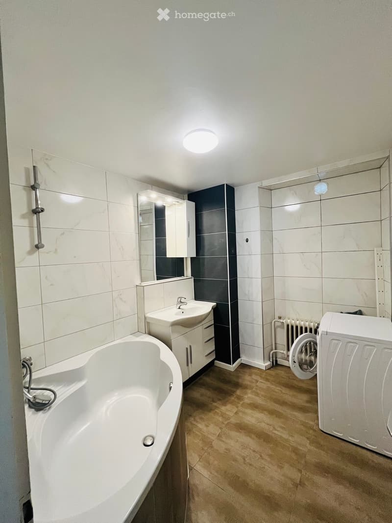 A louer magnifique appartement 3.5 p, Bulle (5)