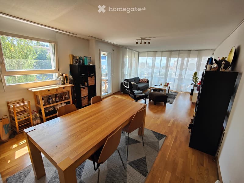 Recherche Colocataire appartement meublé (2)