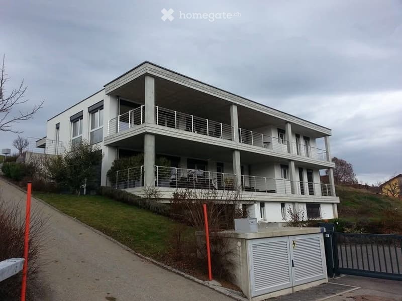 Appartement 6,5 pièces (2 salles de bain) (1)