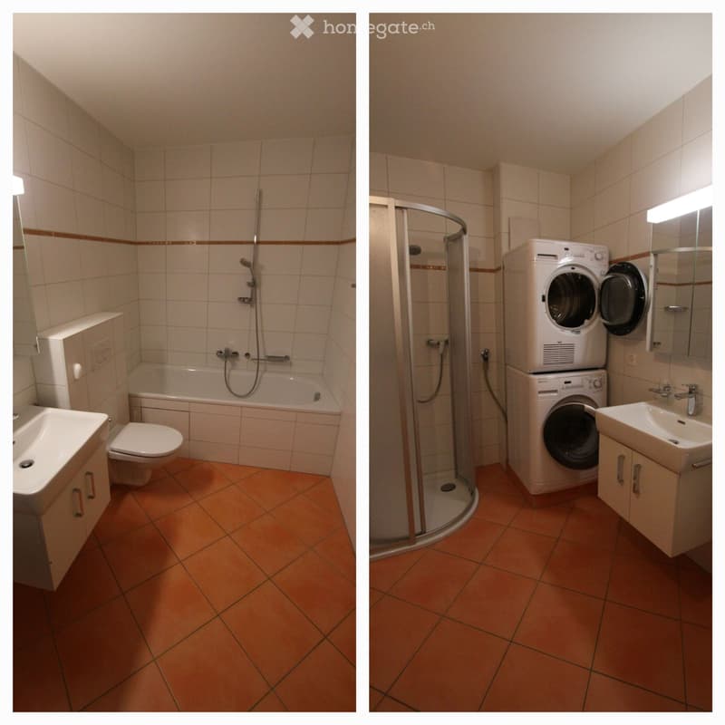 Magnifique 3,5 pces, rez avec terrasse en pleine campagne ! (4)