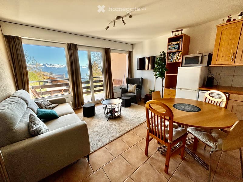 Haute-Nendaz: 2.5 pièces rénové à louer (2)
