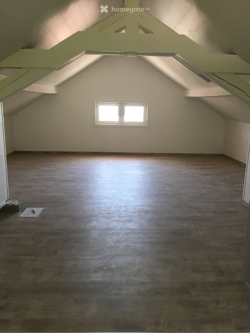 Appartement 4,5 pièces en duplex (5)
